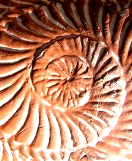 Technik-Detail Slide